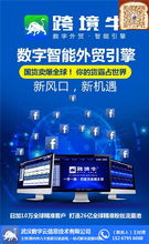 跨境引流系統代理模式與外貿企業流量獲取指南